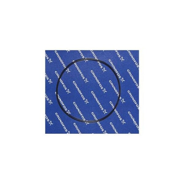 Pump Repair Parts- Spare, O-ring D177.39x3, 53, FFKM.